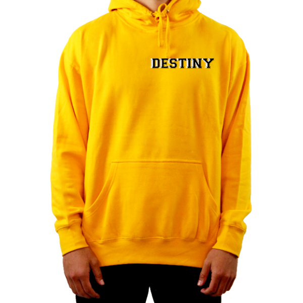 Destiny Is A Vision Hoodie