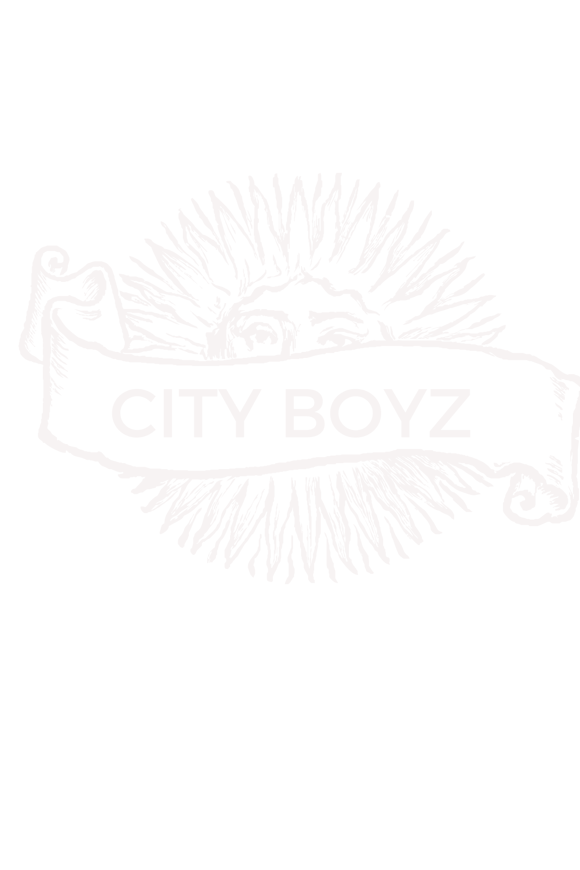 City Boyz Hoodie