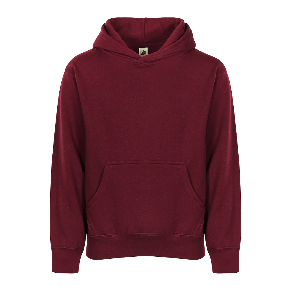 YOUTH ESSENTIAL HOODIE (301)