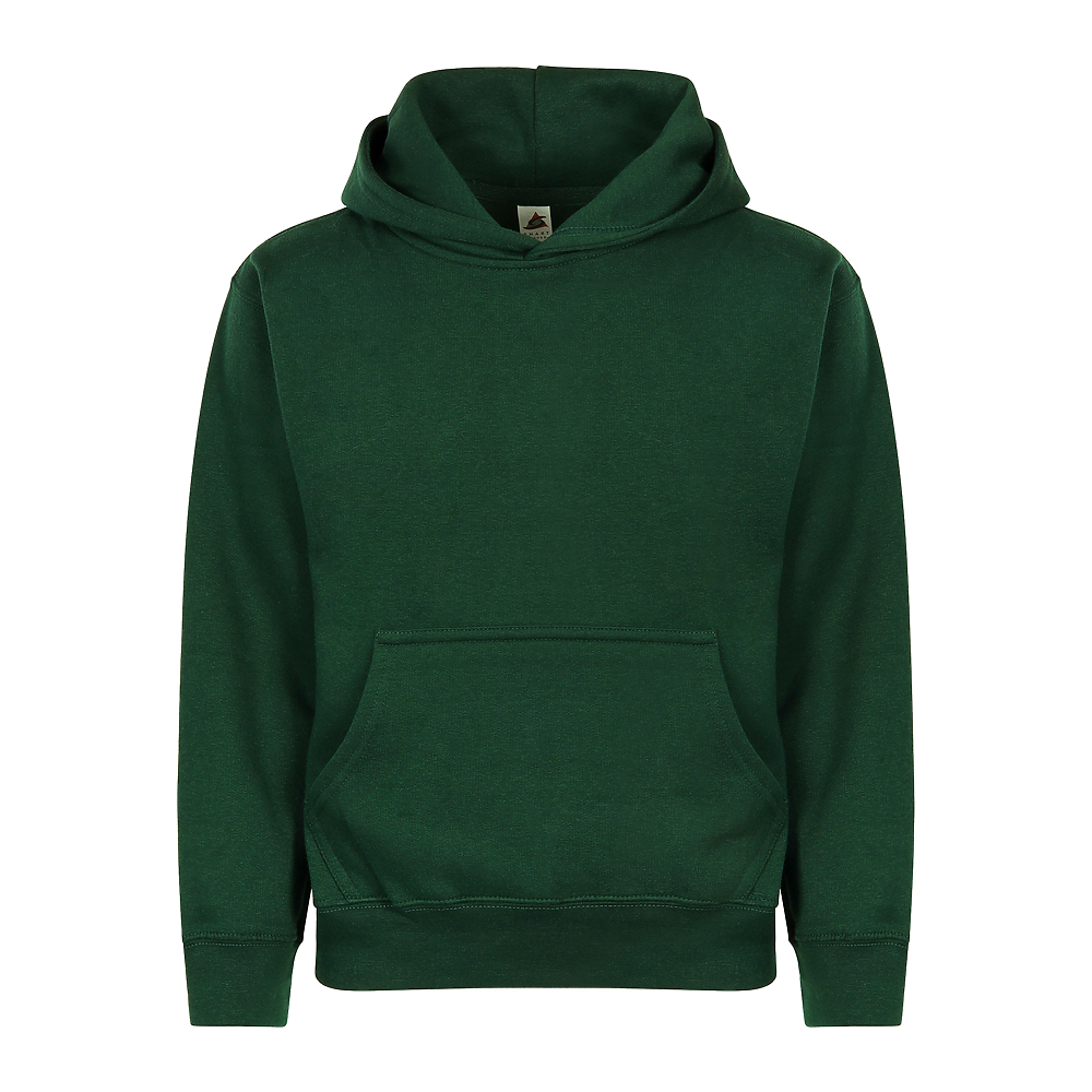 YOUTH ESSENTIAL HOODIE (301)