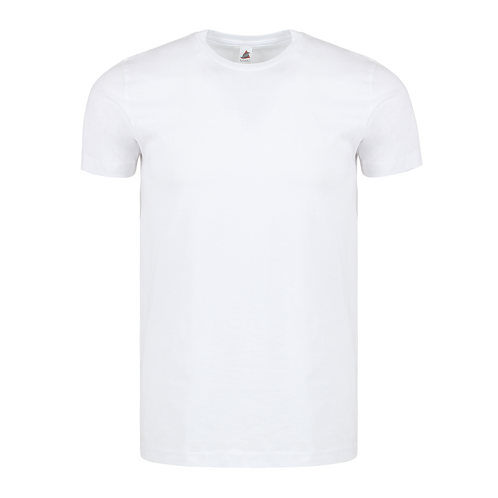 ADULT EVERYDAY TEE (501)