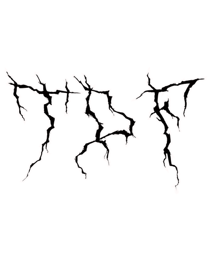 TDF Tee