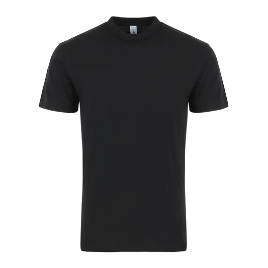 MEN'S HEAVY TEE (M1200)