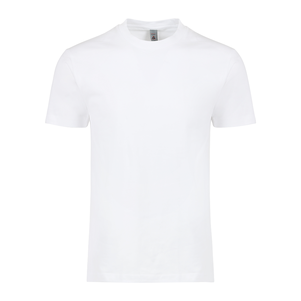 MEN'S HEAVY TEE (M1200)
