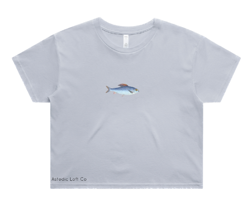 Astedic Loft Co Crop Tee