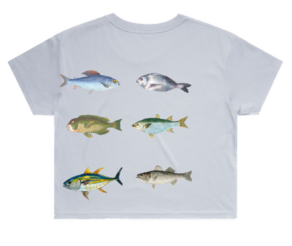 Astedic Loft Co Crop Tee