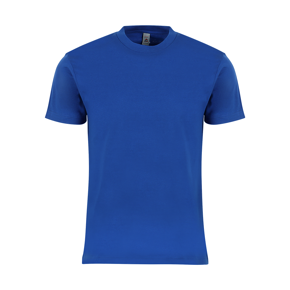 MEN'S HEAVY TEE (M1200)