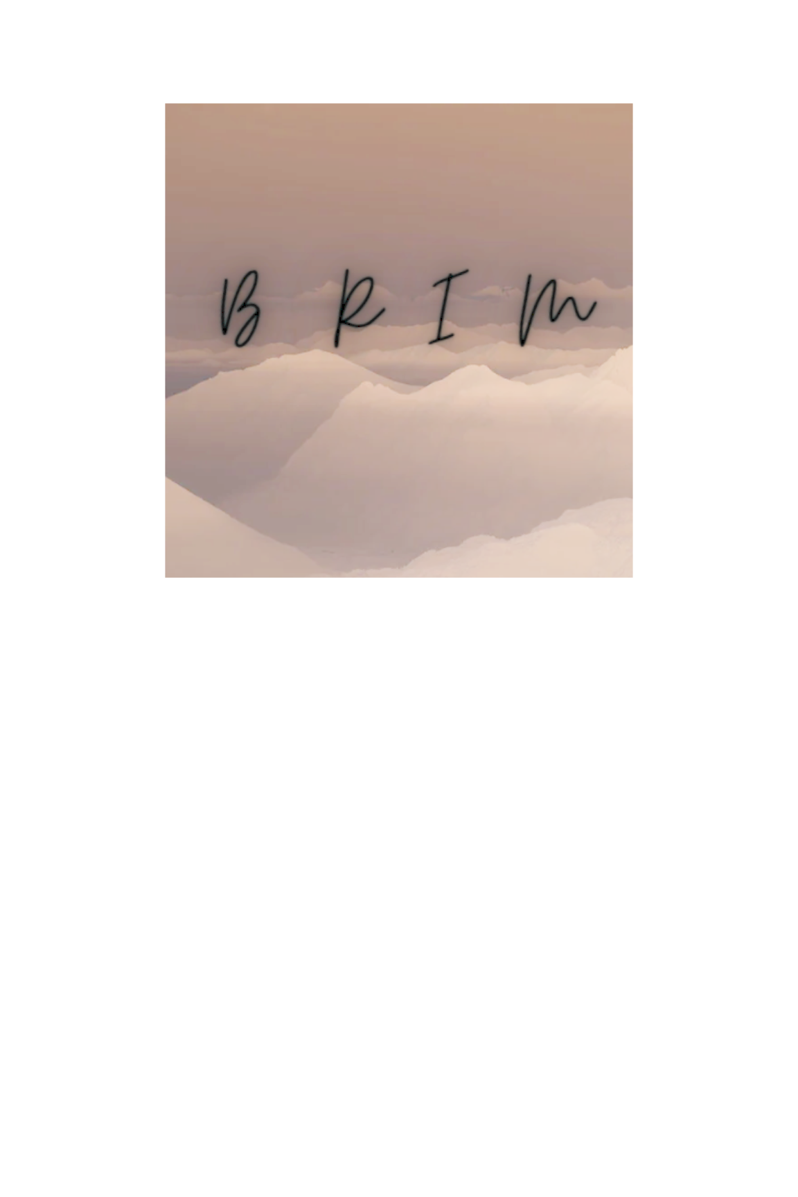 BRIM Tee