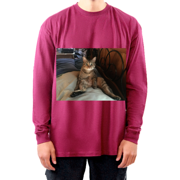 The Unisex Long Sleeve Tee