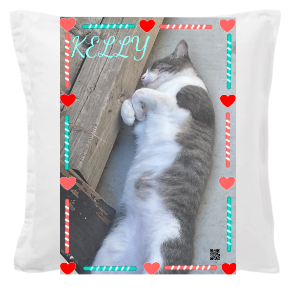 Cushion Cover