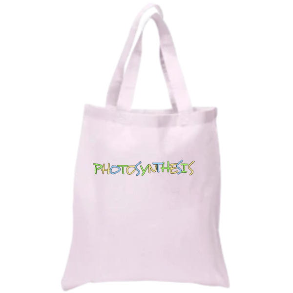 The Two Strap Tote Bag