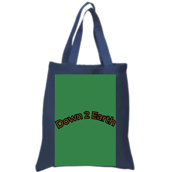 The Two Strap Tote Bag