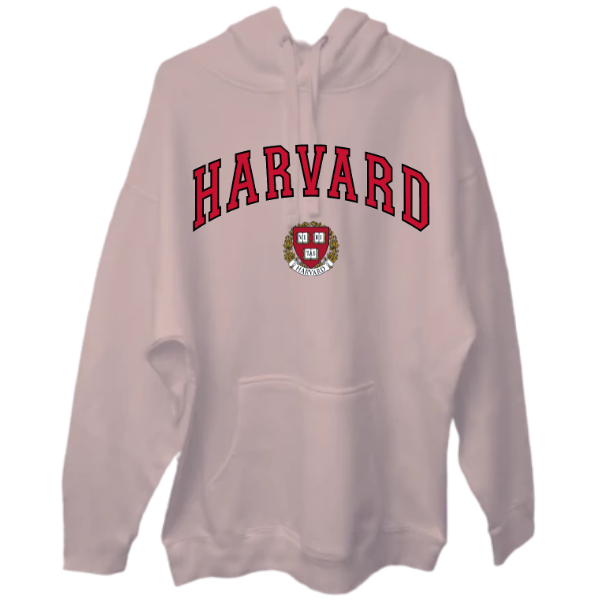 The Unisex Hoodie