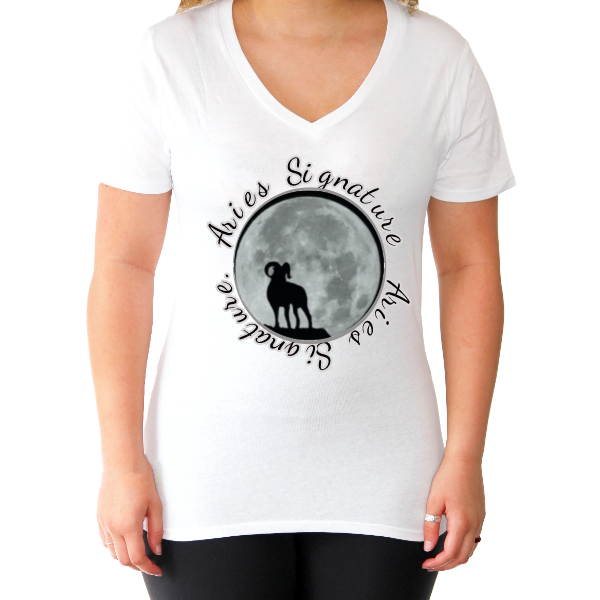 The V-Neck Tee