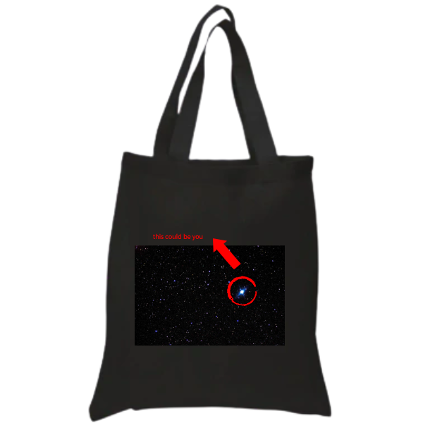 The Two Strap Tote Bag
