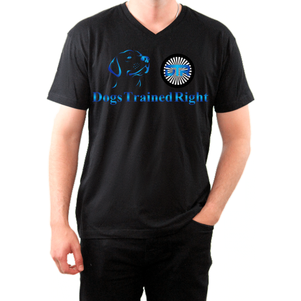 The V-Neck Tee
