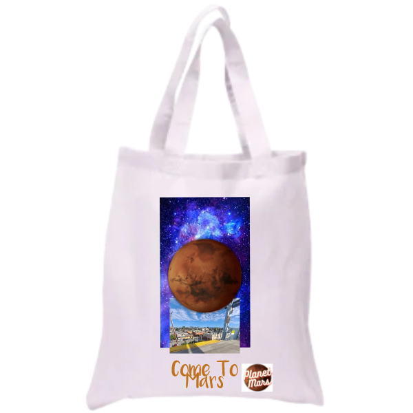 The Two Strap Tote Bag