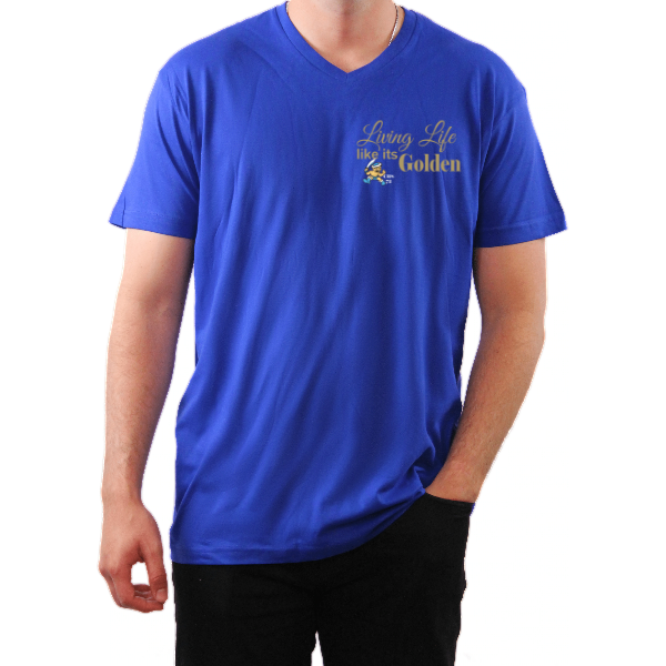 The V-Neck Tee
