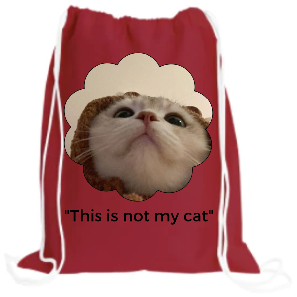 The Drawstring Backpack