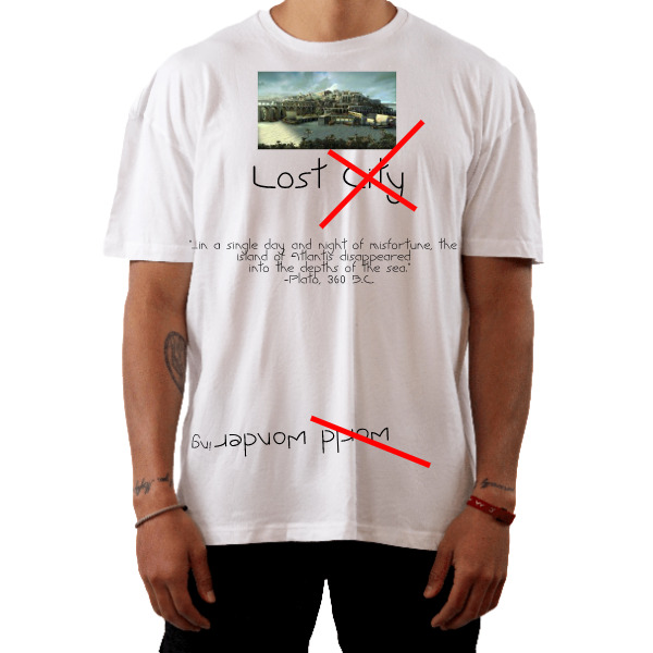 The Unisex Tee