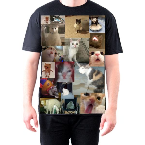 The Unisex Tee