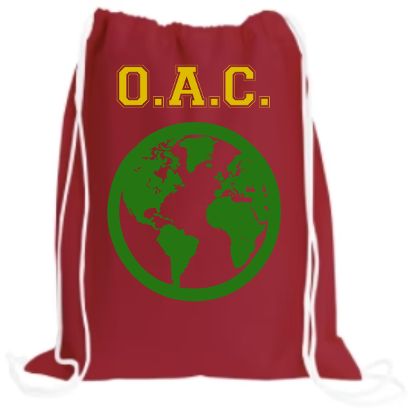The Drawstring Backpack