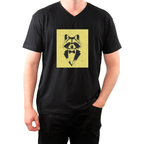 The V-Neck Tee