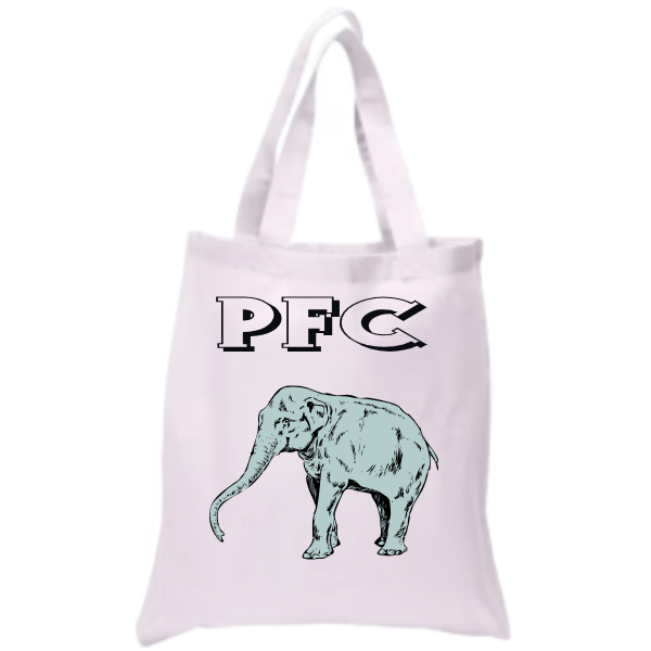 The Two Strap Tote Bag