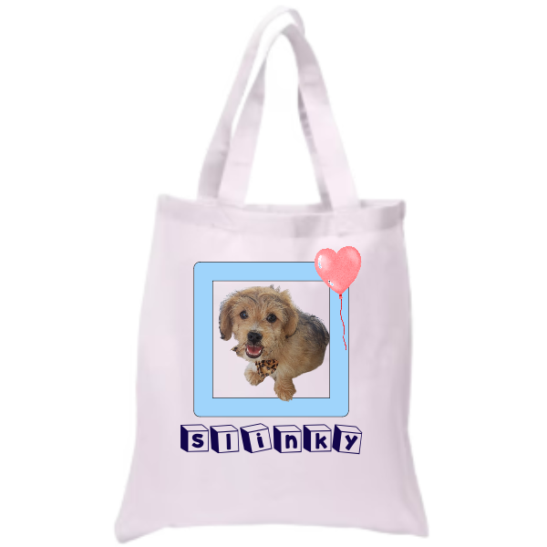 The Two Strap Tote Bag