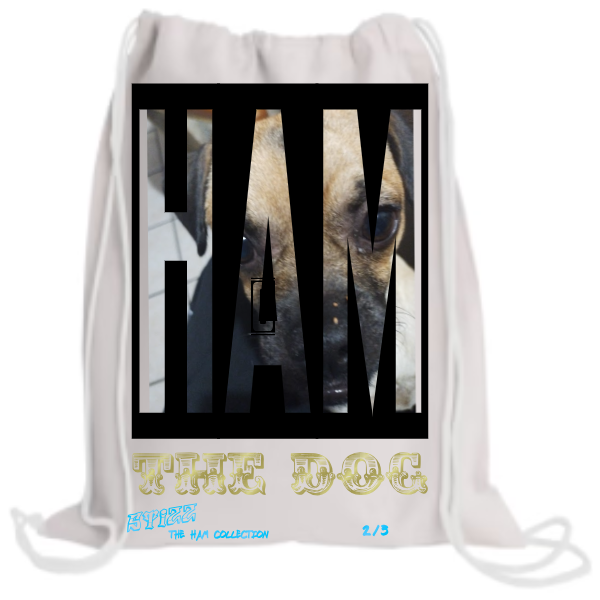 The Drawstring Backpack