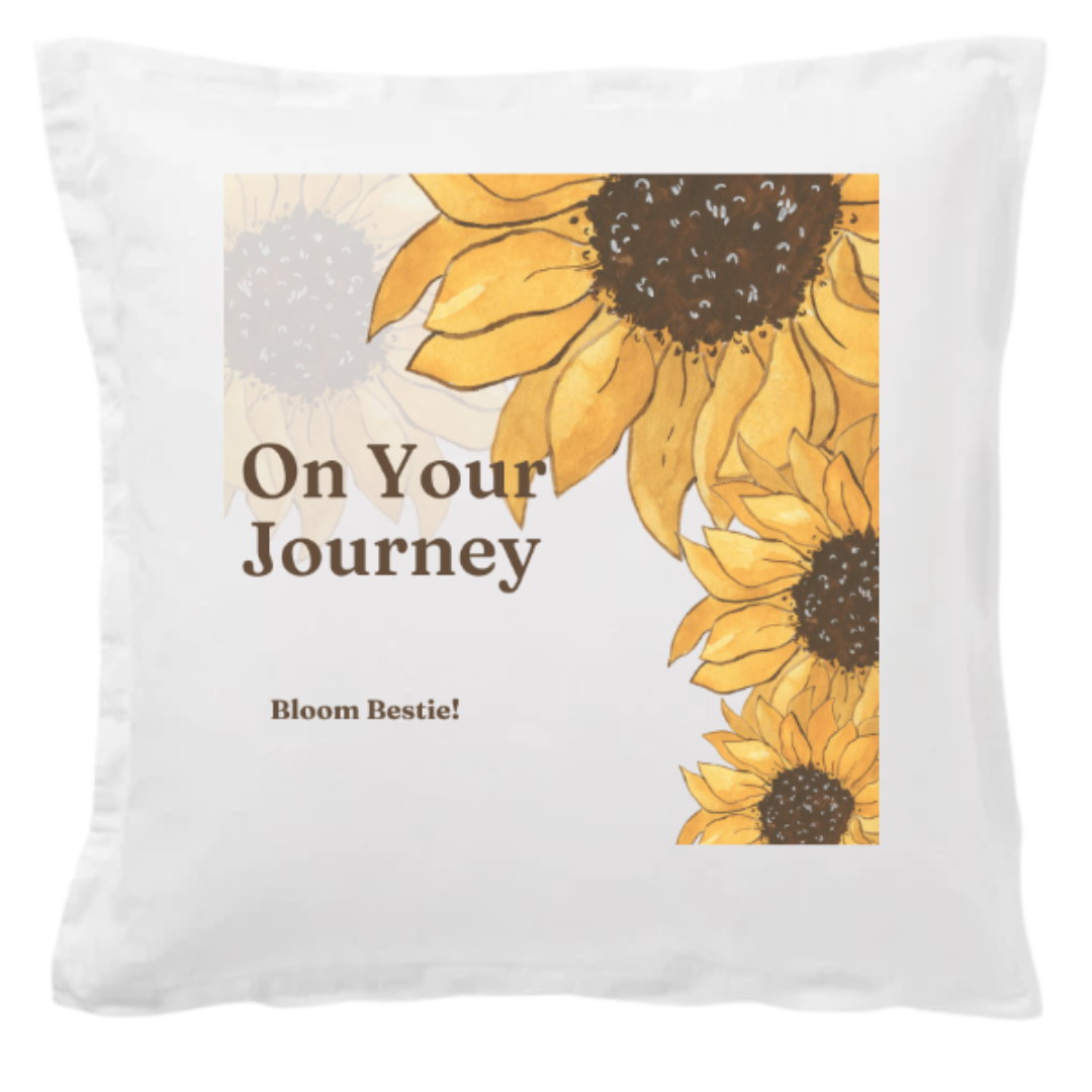On Your Journey Pillow Cover