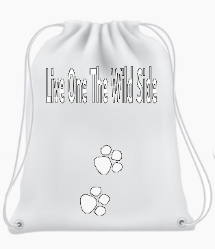 Noemi's Awesome Backpack