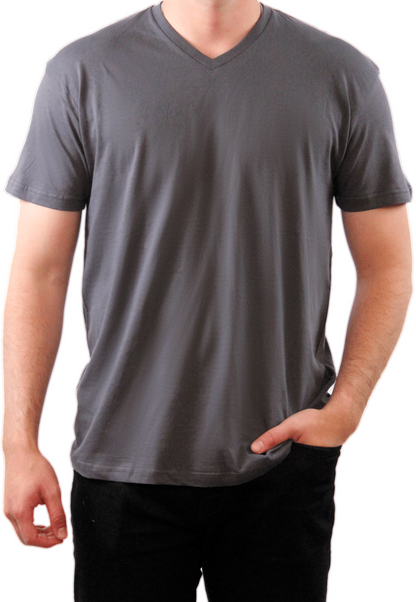 The V-Neck Tee